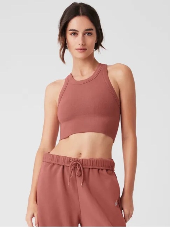 ALO Yoga Other - NWOT Alo Seamless Delight High Neck Bra - Soft Terracotta